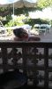 Filename=nmjuly19.JPG
Filesize=267KiB
Dimensions=488x816
Date added=Jul 30, 2012 nmjuly19.JPG