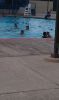 swimnm13.JPG