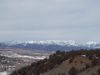 Filename=drivingscene.jpg
Filesize=70KiB
Dimensions=1024x768
Date added=Mar 07, 2010 drivingscene.jpg